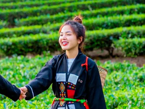 Mượn đồi chè xanh bát ngát, vườn tre tít tắp để 'câu' khách du lịch