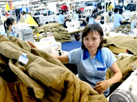 Ủy ban Chứng khoán đình chỉ kiểm toán viên ký báo cáo tài chính năm 2024 của Garmex Sài Gòn