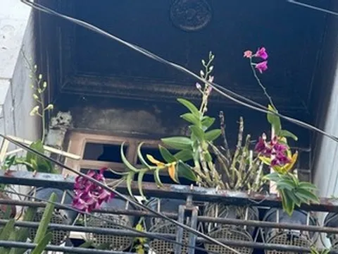 Công an TPHCM điều tra vụ cháy làm bé gái 8 tuổi tử vong