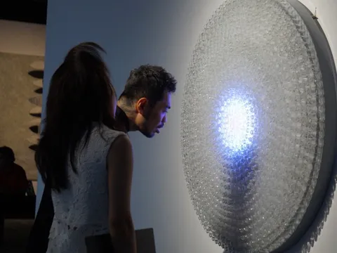 Chuyện đám bèo hoa dâu Việt Nam được Phạm Tuân mang lên vũ trụ bước vào tác phẩm nghệ thuật