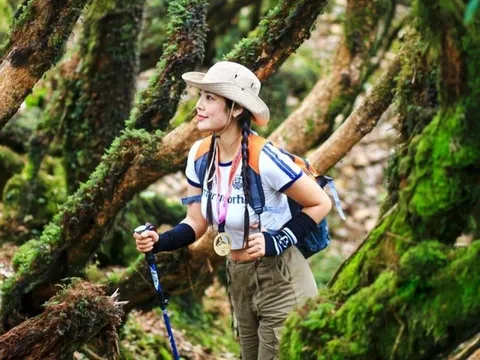 Khách Việt bị gạ tình đi du lịch một mình: Không hiếm gặp, làm gì để tự vệ?