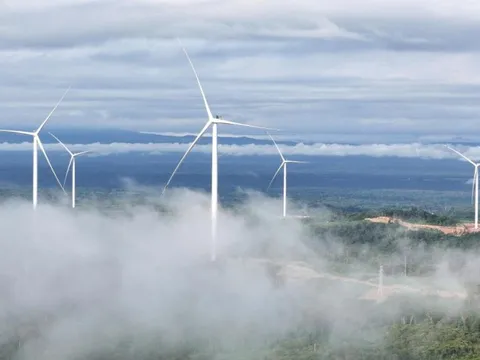 Khát vọng tạo giá trị bền vững từ năng lượng tái tạo của Bầu Hiển