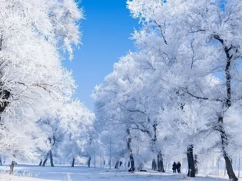 Trung Quốc xúc tiến du lịch, hút khách Việt Nam tới "thủ phủ băng tuyết"