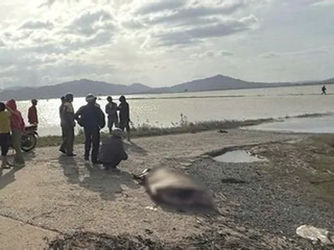 Mẹ lái xe máy chở con 6 tuổi rơi xuống nước, cả hai tử vong