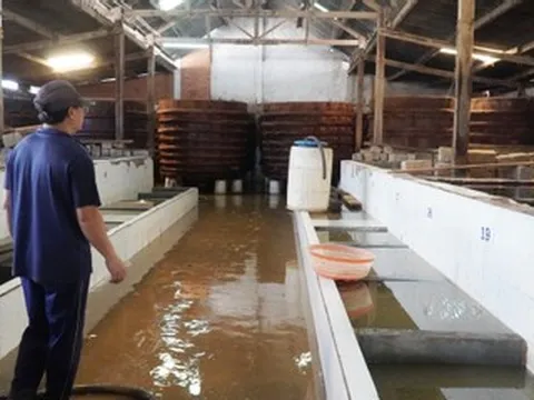 Làng nước mắm ở Lâm Đồng tan hoang sau lũ, thiệt hại hàng tỷ đồng