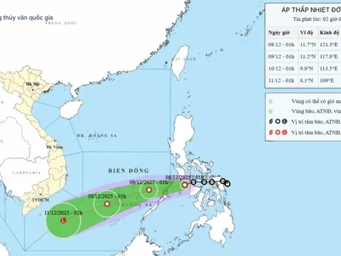 Áp thấp nhiệt đới hình thành, vùng biển Đà Nẵng đến Đắk Lắk có gió giật cấp 7-8