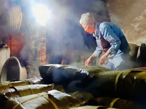 Những vết nứt biết thở và mùi hương của sự trở về