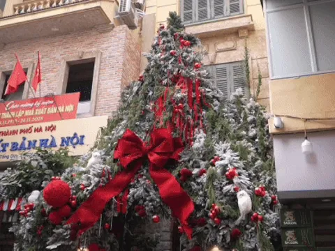 Hà Nội: GenZ xếp hàng dài chụp ảnh ở quán cà phê có cây thông Noel khổng lồ