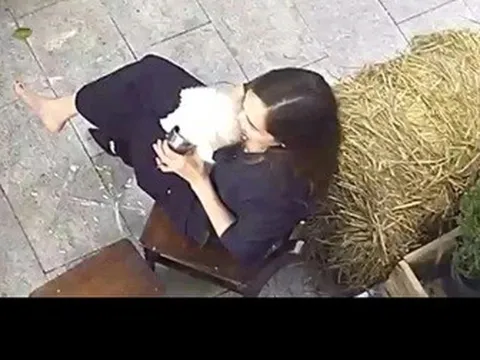 Khách lấy cốc của người cho thú cưng uống tại quán cà phê ở Hà Nội