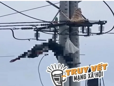 Bắt ong vò vẽ, một thanh niên bị điện giật tử vong