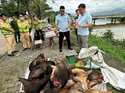 Cảnh sát phát hiện xe khách chở thịt đông lạnh nghi động vật quý hiếm