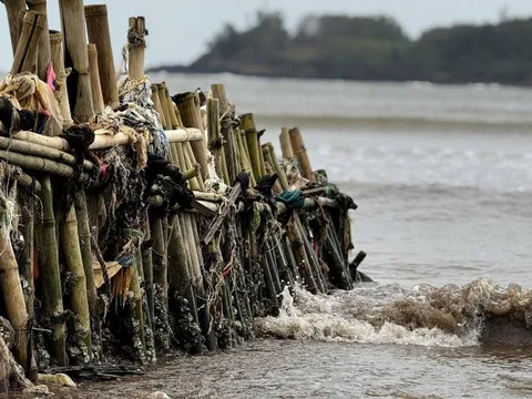 Tự dựng kè cứu nhà, người dân vẫn bất lực trước triều cường dữ dội