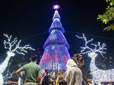 Nhà thờ Đà Nẵng rực sáng đón Giáng sinh, người dân nô nức check-in