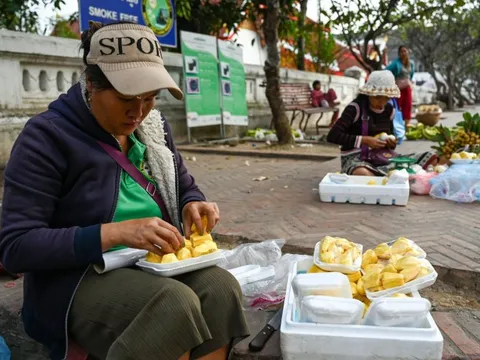 Trung Quốc cho phép nhập khẩu mít tươi từ Việt Nam kể từ 1-6-2026