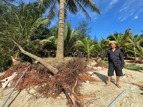 Bãi biển Mỹ Khê có nguy cơ bị "xóa sổ" do triều cường, sóng lớn bất thường