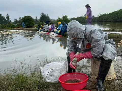Cục Xăng dầu thông tin về sự cố tràn dầu ở Quảng Ngãi