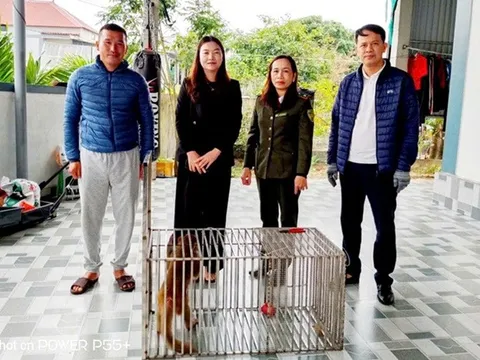 Chuyện hiếm gặp giữa khu dân cư ở Quảng Trị