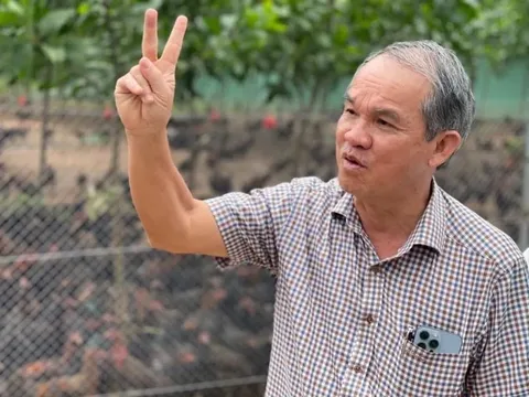 Công ty đặc biệt của Bộ Tài chính trở thành chủ nợ lớn của Hoàng Anh Gia Lai