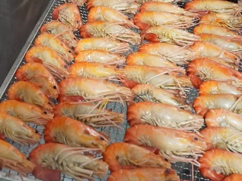 "Con tôm ôm cây lúa" bán 1 triệu đồng/kg nhờ bí quyết này