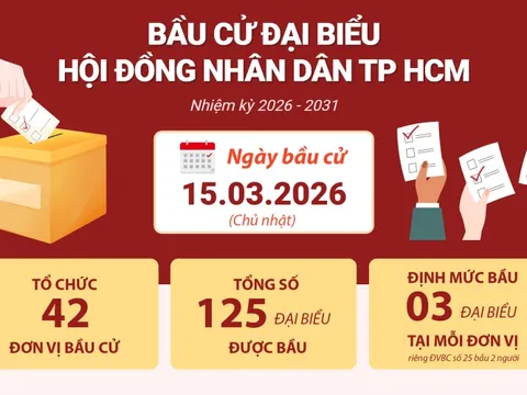Infographic bầu cử đại biểu Hội đồng Nhân dân TP HCM