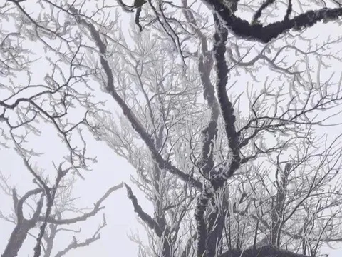 Khách run vì rét buốt dưới 0 độ C ở Cao Bằng