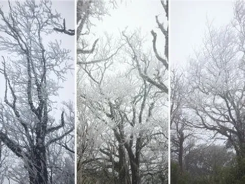 Miền Bắc ghi nhận nhiệt độ thấp nhất: Mẫu Sơn 2,4 độ