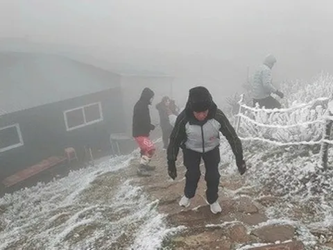 Đi đâu để có thể săn tuyết tại Việt Nam?