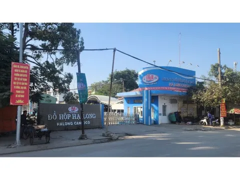 Kiểm tra Công ty Đồ hộp Hạ Long, 3 năm không phát hiện sai phạm