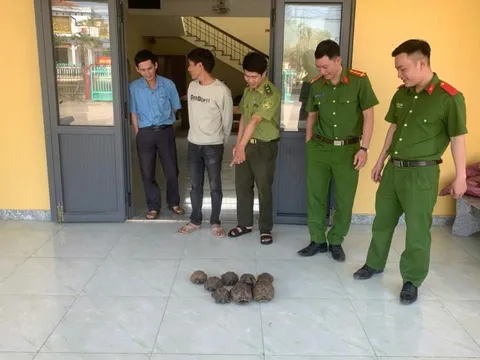 Một người dân bất ngờ phát hiện 8 cá thể quý hiếm bên đường