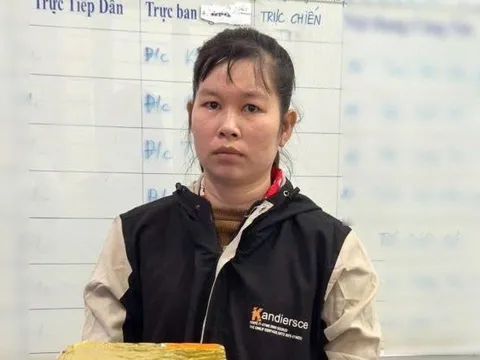 Tiến hành khám xét khẩn cấp chỗ ở của Trương Thị Trúc Ly