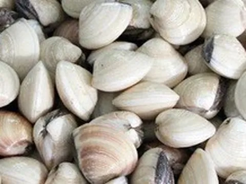 Hộ kinh doanh ngao thắc mắc, trường hợp nào chịu thuế GTGT khi vừa tự nuôi, vừa mua lại để bán? Cục Thuế trả lời