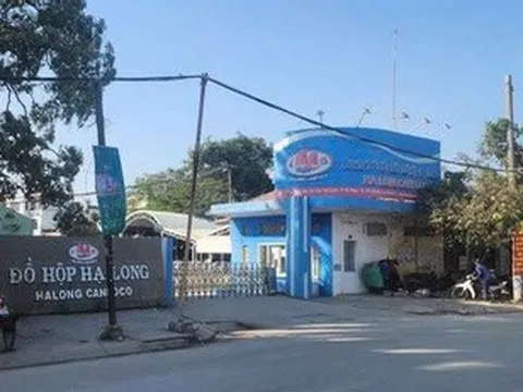 Một nữ cán bộ Sở NN&MT Hải Phòng ra đầu thú vì liên quan đến vụ Đồ hộp Hạ Long