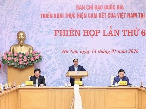Ô tô điện tăng hơn 28 lần, Thủ tướng chỉ đạo nhiều giải pháp phát triển giao thông xanh