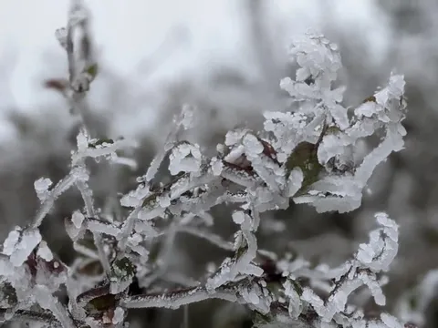 Tiết Đại hàn 2026 bao giờ kết thúc?