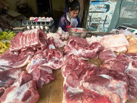 Dự báo giá heo hơi dịp Tết khoảng 70.000-75.000 đồng/kg, cao hơn nhiều nước trong khu vực