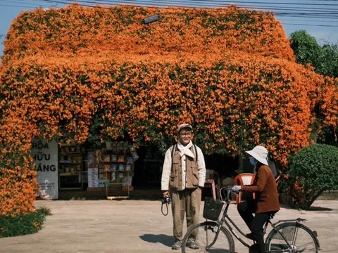 Ngôi nhà hoa xác pháo phủ kín như mái rèm che phủ ở Lâm Đồng lại gây sốt