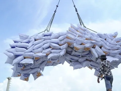 Tăng trưởng rực rỡ, ngành nông nghiệp vẫn nhận ra còn một số 'điểm nghẽn' lớn