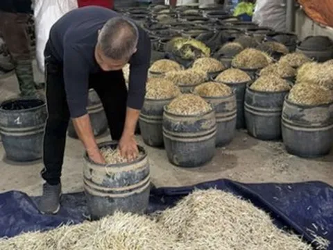 Danh tính hai chủ cơ sở sản xuất gần 3 tấn giá đỗ dùng chất cấm tại Hưng Yên