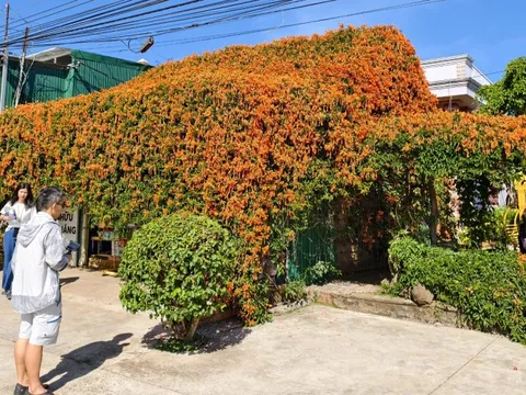 Căn nhà đang "nổi như cồn" ở Lâm Đồng