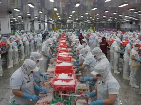 Đồng Tháp thưởng Tết cao nhất 300 triệu đồng/người