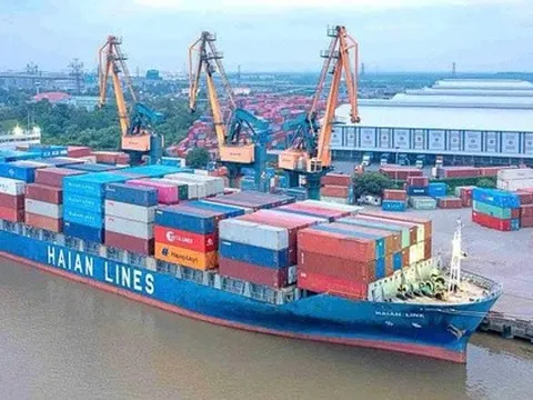 Lãnh đạo Xếp dỡ Hải An không mua hết 1 triệu cổ phiếu HAH đã đăng ký