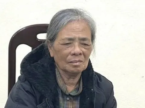 Công an Ninh Bình bắt giữ bà Hoàng Thị Vân