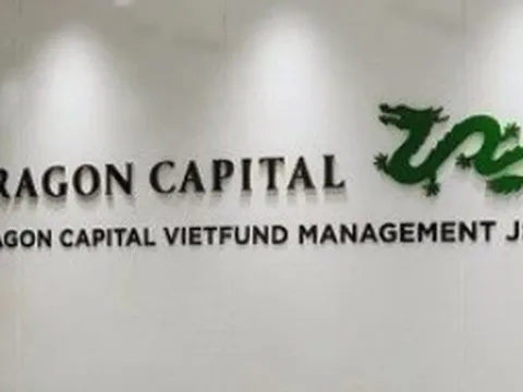 Vì sao lợi nhuận Dragon Capital năm 2025 bất ngờ giảm hơn 50%?