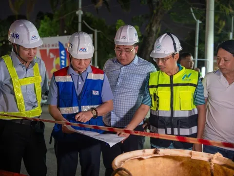 Thông tin nổi bật tại TPHCM ngày 25-1: Xuyên đêm với metro số 2; cúc mâm xôi có rẻ khi "giải cứu"?