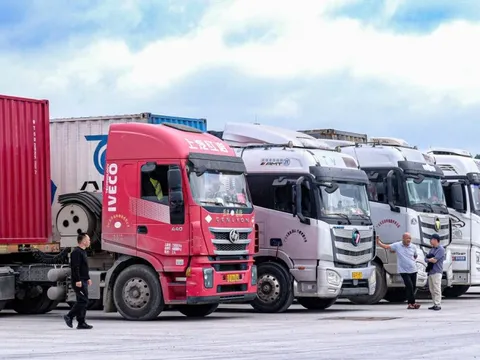 Ách tắc thực phẩm nhập khẩu: Doanh nghiệp đối mặt thiệt hại lớn