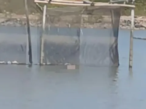 Phát hiện thi thể nam giới nổi trên rạch, túi quần có chùm chìa khóa