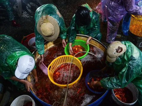 Cảnh tấp nập xuyên đêm ở chợ cá lớn nhất Hà Nội trước ngày ông Công ông Táo