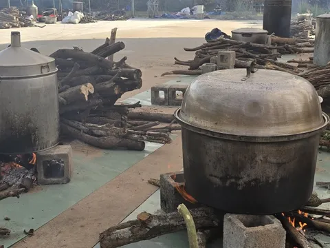 Hơn 100 đội tham gia Hội thi gói, nấu bánh tét, lan tỏa hồn Tết phương Nam