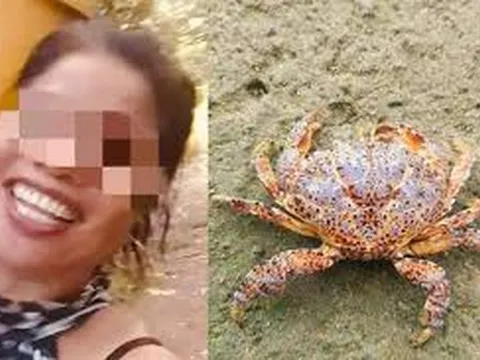 Ăn cua quỷ chứa độc tố cực mạnh để quay video, người phụ nữ tử vong