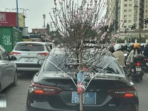 Buộc cành đào che biển số, tài xế ô tô biển '80A' bị phạt 23 triệu đồng